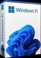 Microsoft Windows 11 Pro 21H2 22000.1163 (x64)