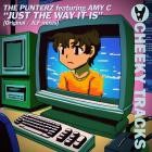 The Punterz feat Amy C - Just The Way It Is