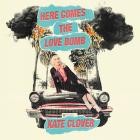 Kate Clover- Here Comes The Love Bomb