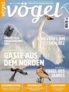 Voegel - Magazin fuer Vogelbeobachtung 71/2023