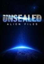 Unsealed.Alien.Files.S04E20.Der.erste.Kontakt.German.DL.DOKU.HDTVRiP.X264-GWD