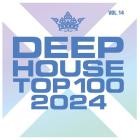 Deephouse Top 100 Vol.14