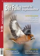 Der Falke - Journal fuer Vogelbeobachter 01/2023