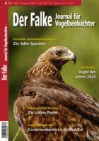 Der Falke - Journal fuer Vogelbeobachter 04/2024