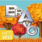 BRAVO Hits 2013