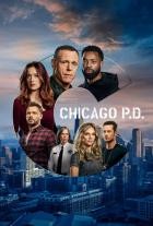 Chicago PD - Staffel 7