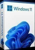 Microsoft Windows 11 Pro 21H2 22000.1335 (x64)