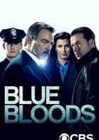 Blue Bloods - Staffel 11