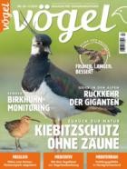 Voegel - Magazin fuer Vogelbeobachtung 80/2024