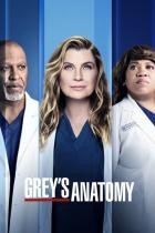 Grey's Anatomy - Staffel 13