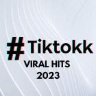 TikTokk Viral Hits 2023