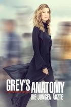 Grey's Anatomy - Staffel 20