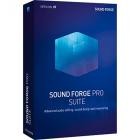 MAGIX Sound Forge Pro Suite v16.1.2.55 (x64)