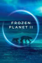 Frozen.Planet.II.S01E05.GERMAN.DL.DOKU.BDRiP.x264-PL3X