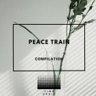 Ben Chemex - Peace Train