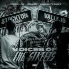 SleezeTeamK3  Verde Babii - Voices Of The Streets