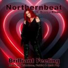 NorthernBeat feat  Bianca Kinane - Brilliant Feeling