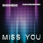 Shazam Jay - Miss You (The Remix Playlist EP)