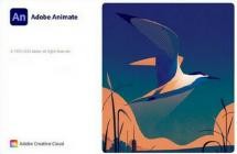 Adobe Animate 2023 v23.0.2.103 (x64)