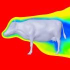 The Planetoids - The Aerodynamics of a Cow