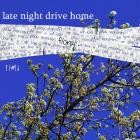 late night drive home - floral