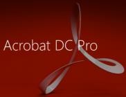 Adobe Acrobat Pro DC 2024.002.20687 (x64)