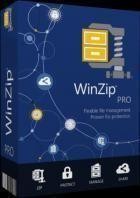 WinZip Pro v28.0 Build 15640g (x64)