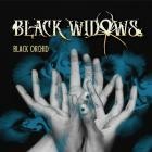 Black Widows - Black Orchid