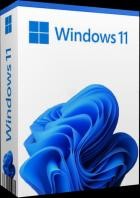 Microsoft Windows 11 Pro 21H2 22000.282 Untouched (x64)