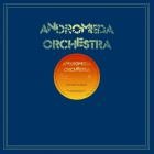 Andromeda Orchestra - Do It (Like You Mean It)