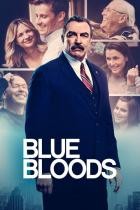 Blue Bloods - Staffel 1