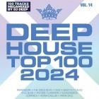 Deephouse Top 100 Vol.14