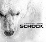 Eisbrecher - Schock