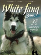 White Fang - Die Serie - DivX