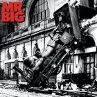 Mr. Big - Lean Into It (30th Anniversary)