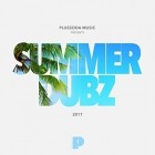 VA-Summer_Dubz_2017-WEB-2017-POSH