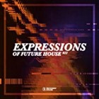 Expressions Of Future House Vol.22