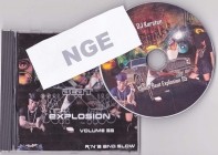 Dance Beat Explosion Vol.55 (Bootleg)