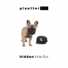 Plaetter Pi - Hidden Tracks