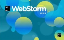 JetBrains WebStorm v2019.3.4