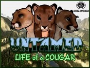 Untamed Life Of A Cougar