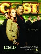 C.S.I. - Las Vegas - XviD - Staffel 10 (HD-Rip)