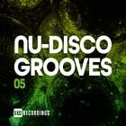Nu Disco Grooves Vol.05
