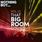 Nothing But That Big Room Sound Vol.12