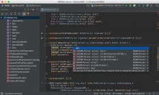 JetBrains App Code 2018.2.3 MACOSX