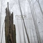Maiak - A Very Pleasant Way To Die
