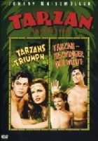 Tarzan - Bezwinger der Wüste