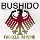 Bushido Feat. Kay One - Fackeln im Wind (WM Song 2010, Ole Ole Ole!)