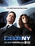 C.S.I. - New York - XviD - Staffel 6