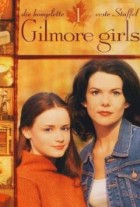 Gilmore Girls - DVD-R - Staffel 1 (HQ)